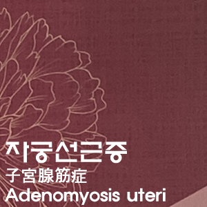 자궁선근증