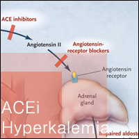 Antihypertensive_ACEInhibitor_Potassium