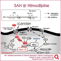 subarachnoid_hemorrhage_polypharmacy