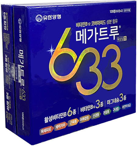 메가트루633정