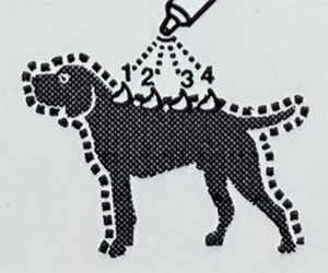 어드밴틱스사용법