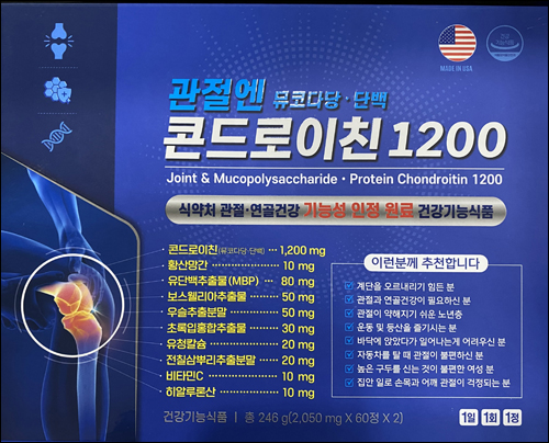 콘드로이친1200
