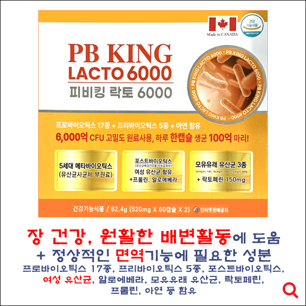 피비킹락토6000